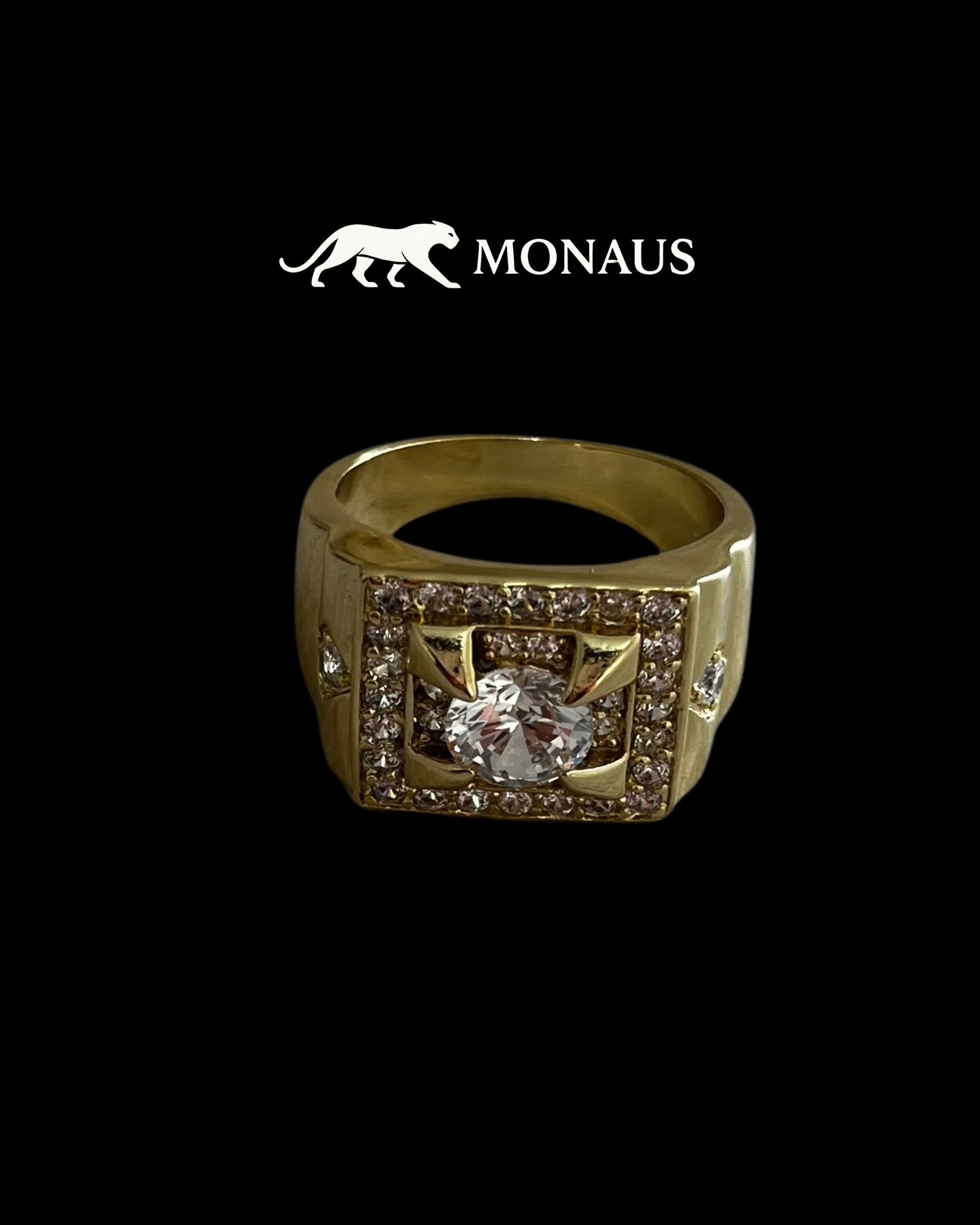 Anillo