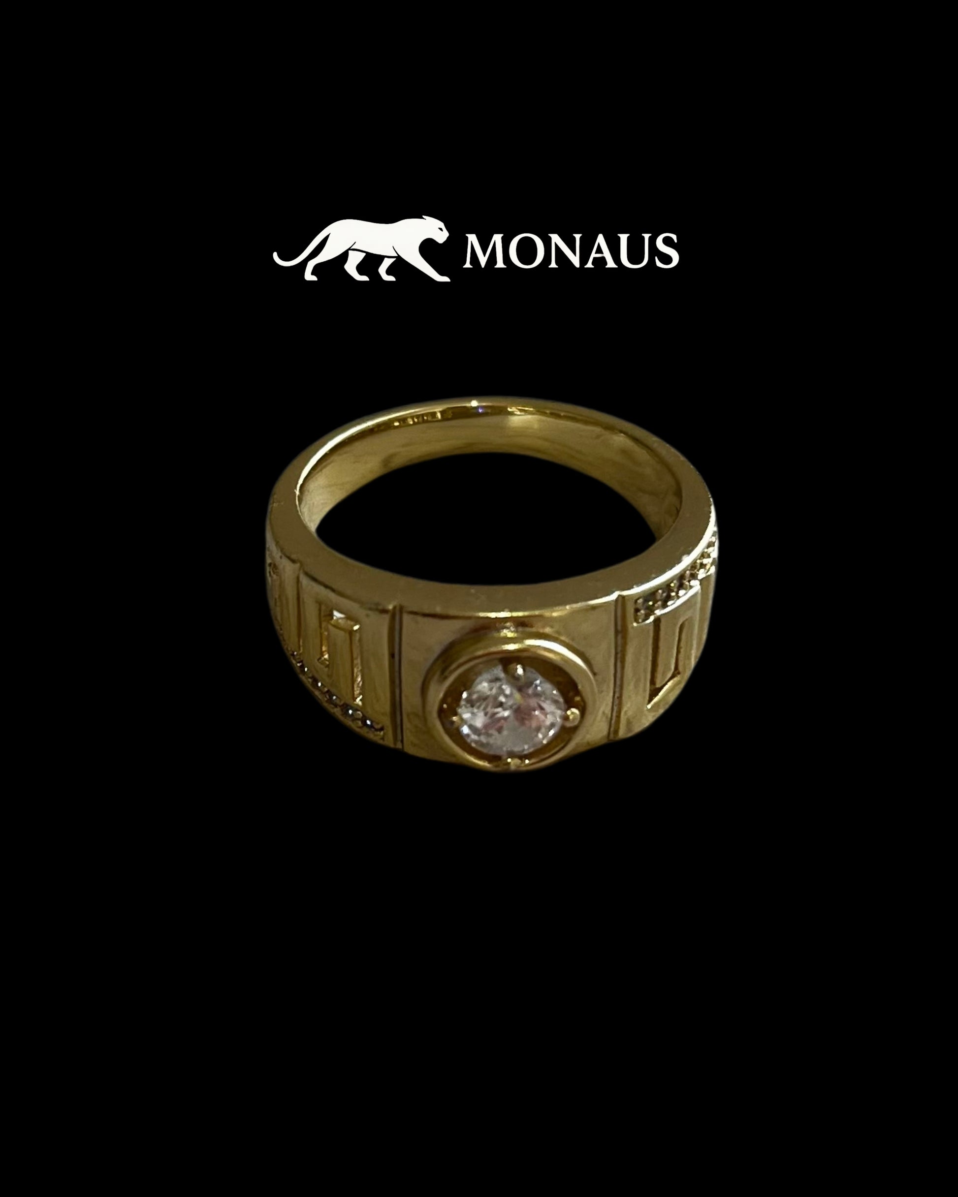 Anillo