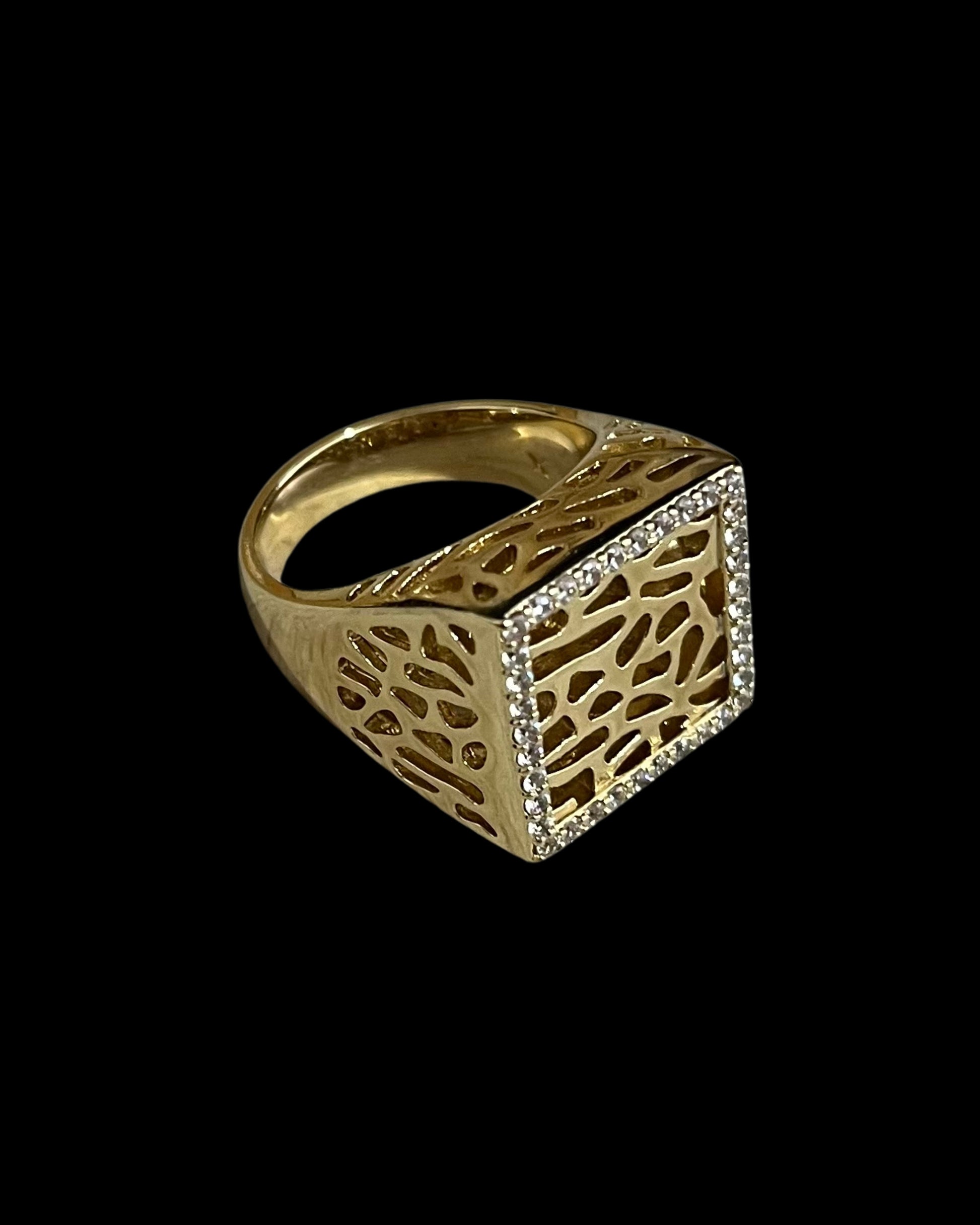 Anillo