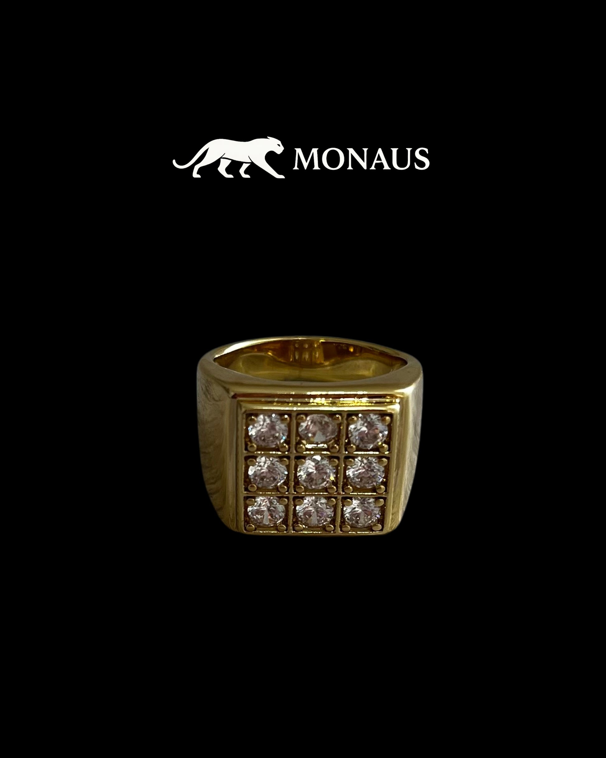 Anillo