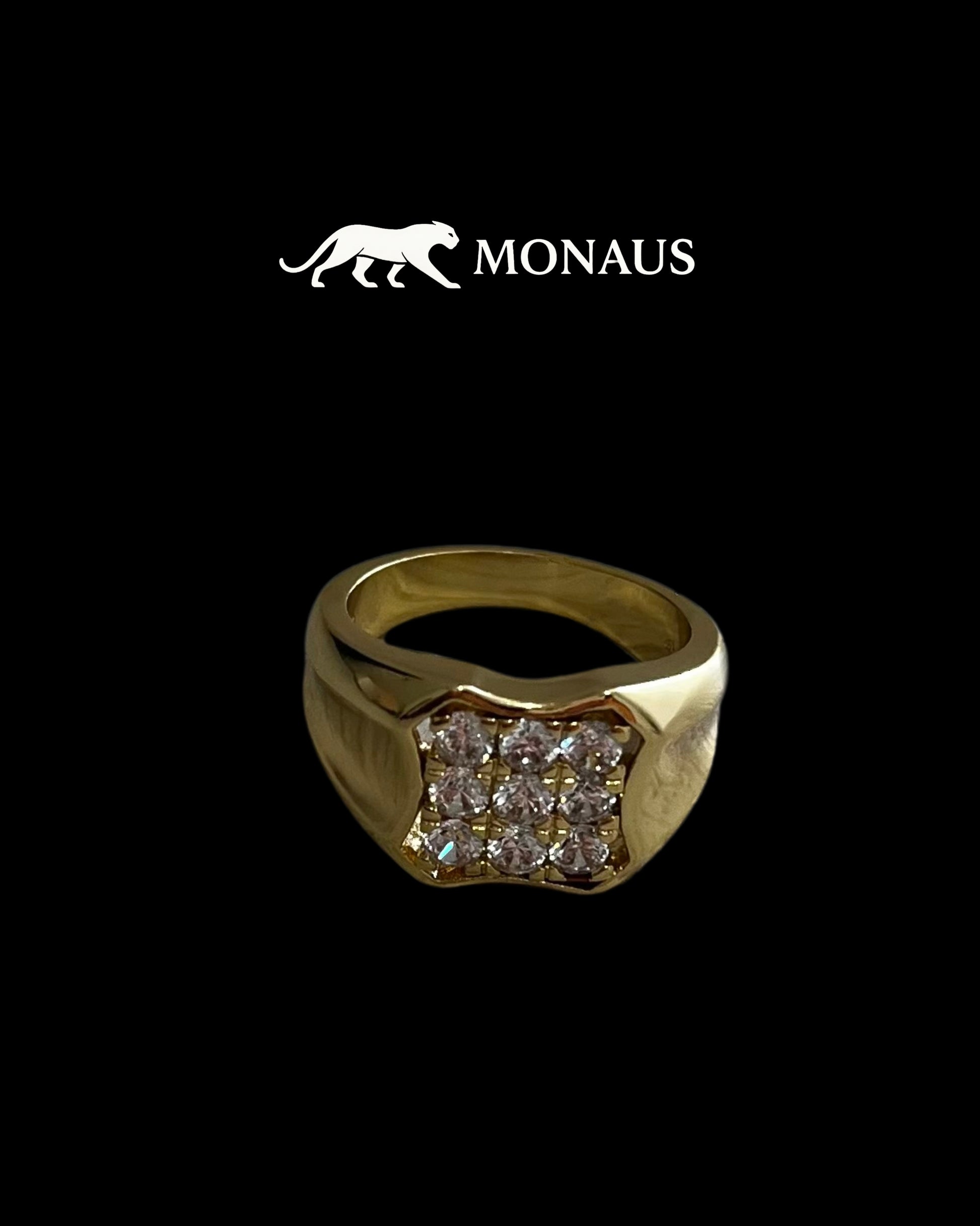 Anillo