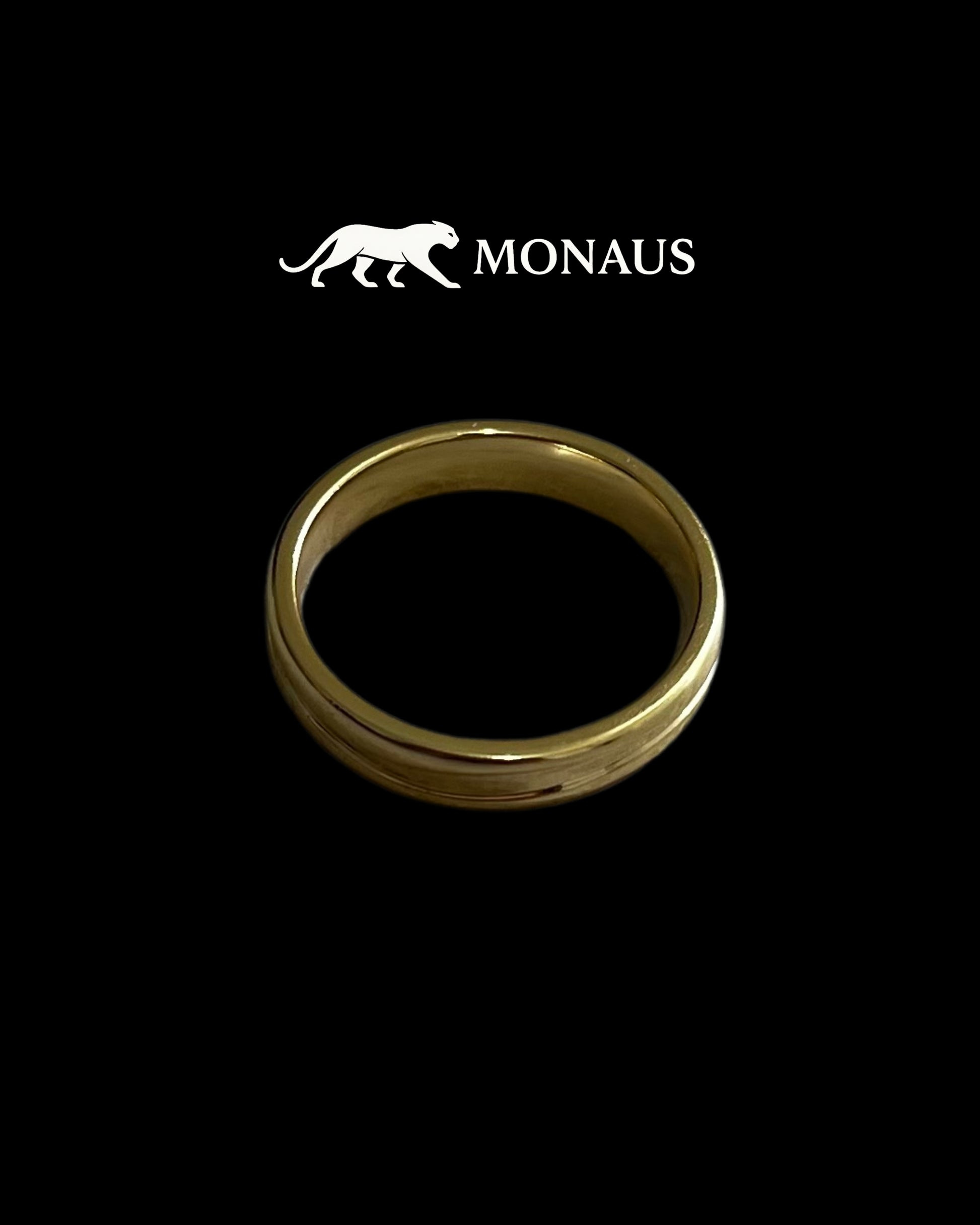 Anillo
